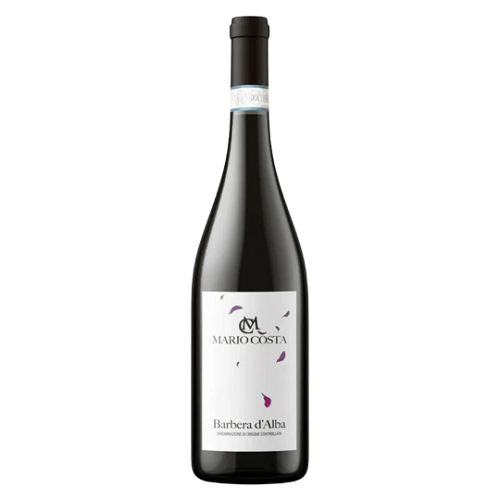 VINHO MARIO COSTA BARBERA D'ALBA